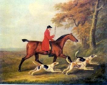 unknow artist Classical hunting fox, Equestrian and Beautiful Horses, 105. oil painting image
